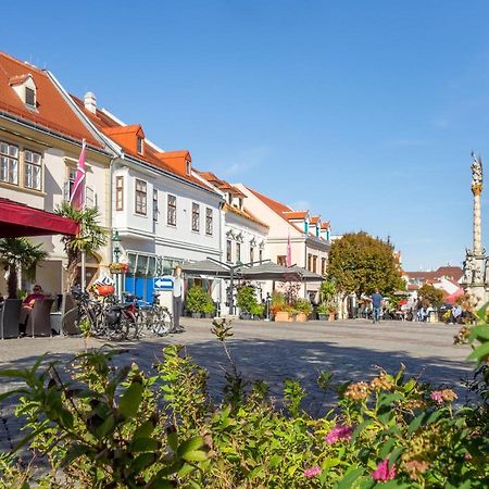 St Antoni Suite2 Stilvolle Ferienwohnung Mit Parkplatz In Айзенштадт Экстерьер фото